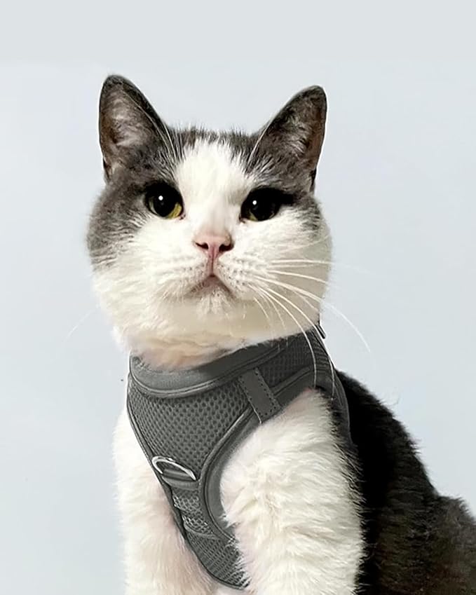 Joytale Small Dog Harness, Breathable Mesh Step-in Vest, Reflective Soft Padded Harnesses for Cats, Puppies and Extra Small Dogs, Gray, XXS