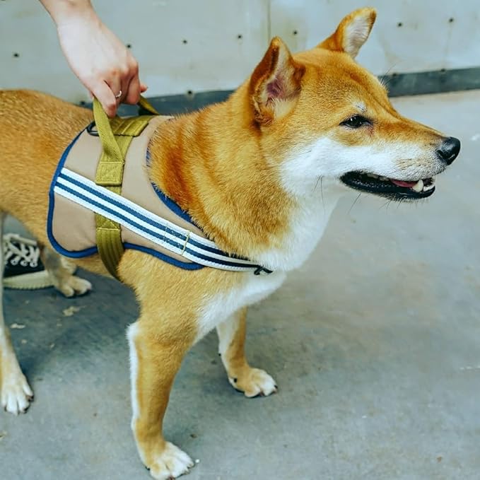 Blueberry Pet Soft 3M Reflective Dog Harness Vest | Mesh Padded No-Pull Harness with Back Clips | Multicolor Stripe in Olive and Blue-Gray| Adjustable for Medium Dogs