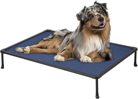 Veehoo Chewproof Elevated Dog Bed - Cooling Raised Pet Cot, Breathable Mesh, Washable & Non-Slip for Medium Dogs, Indoor/Outdoor, Blue Mat and Black Frame, 32x25inches (Model CWC2203A03)
