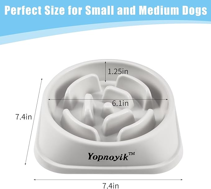 Slow Feeder Dog Bowls for Healthy Eating, Non-Slip and Anti-Choking Design, Reduces Bloating & Overeating for Medium Dogs and Cats, Easy to Clean