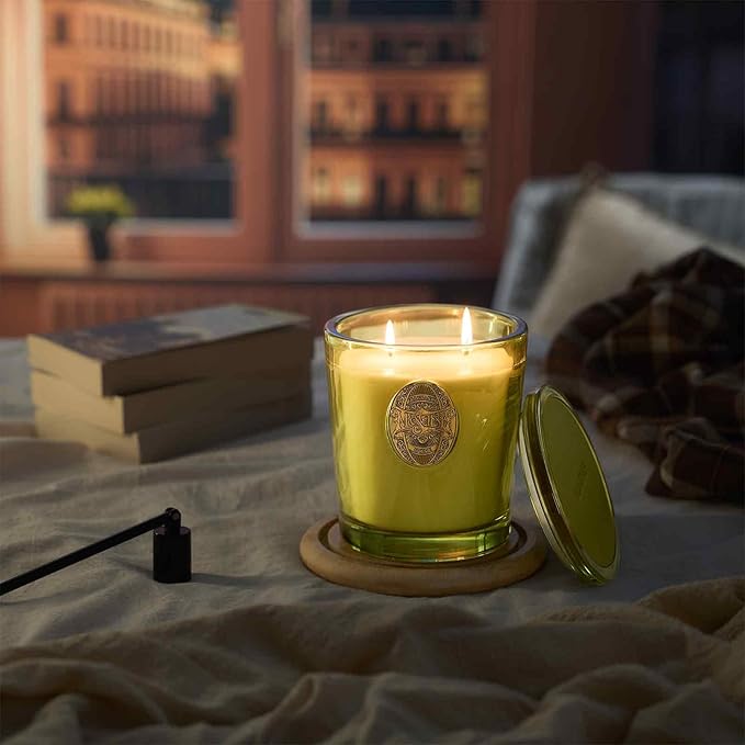 M&SENSE Large Two-Wick Soy Candle | Seattle Rainforest & Matcha Green |19.8 oz, 120H Burn Time | Luxury Scented Candle for Relaxation, Gifting, Home Décor | Ideal for Bedroom, Office, Party Ambiance