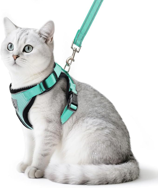 PUPTECK Cat Harness and Leash Set Escape Proof Reflective Cat Walking Harness Adjustable Soft Breathable Mesh Vest for Small Pets, Aquamarine, S