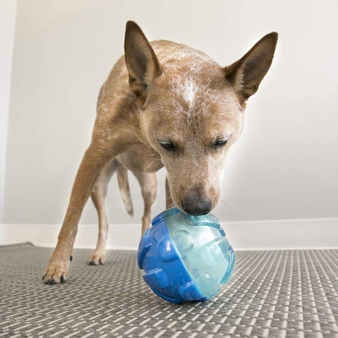 KONG - Rewards Ball - Ultra Durable Interactive Treat Dispensing Dog Toy - for Large Dogs