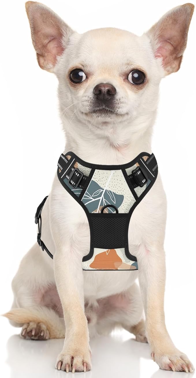 Rnivvi No Pull Dog Harness, Cute Boho Reflective Small Sized Puppy Kitten Harness, Adjustable Soft Padded Vest for Small Dogs, Cats, Heavy Duty Pet Vest with Easy Control Handle for Walking, Leaves