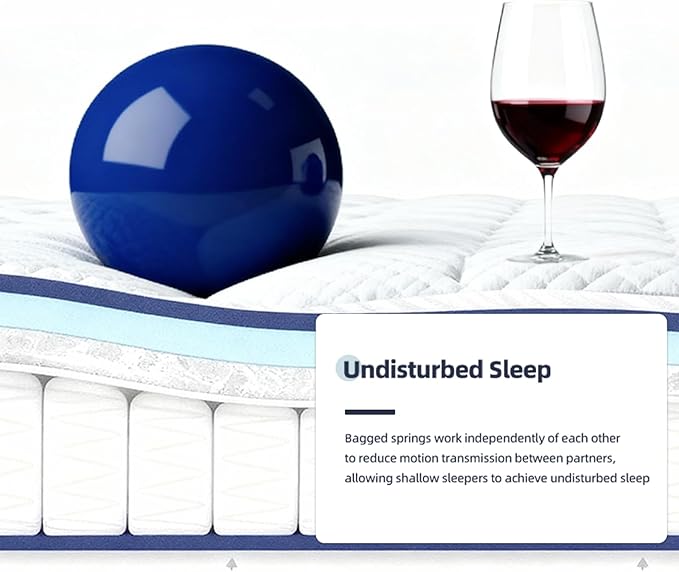 14 Inch Twin XL Mattress, Plush Hybrid Mattresses with Gel Memory Foam in a Box, Individual Pocket Springs for Pressure Relief & Motion Isolation, CertiPUR-US Certified,100-Night Trial