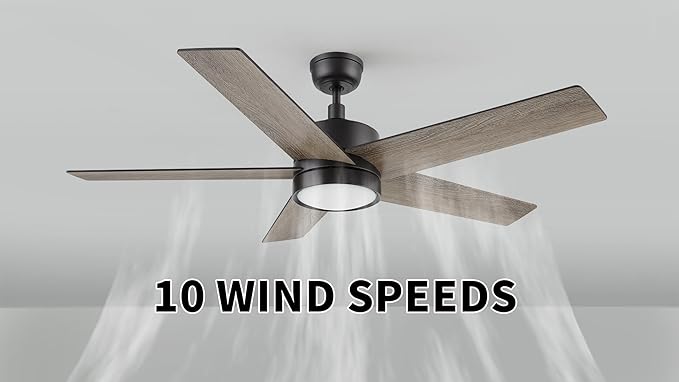 CEME 52 Inch Flush Mount Ceiling Fan with Lights, 3 Light Colors Dimmable Ceiling Fan Low Profile, Reversible 10 Speeds DC Motor, Black