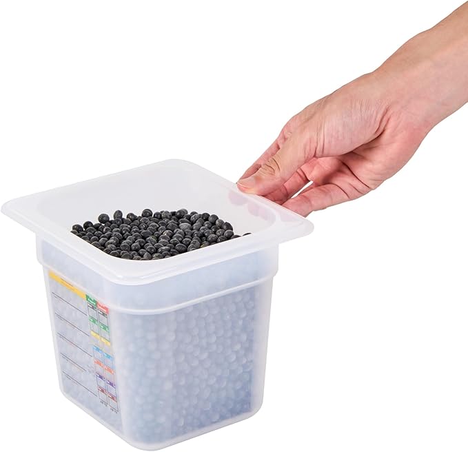 Restaurantware Food Pans Pack of 10 Plastic Square Food Containers 1/6 Size with Traceability Label, Storage Containers Dishwashable Hot Cold Friendly for Restaurants Buffet Commercial Use