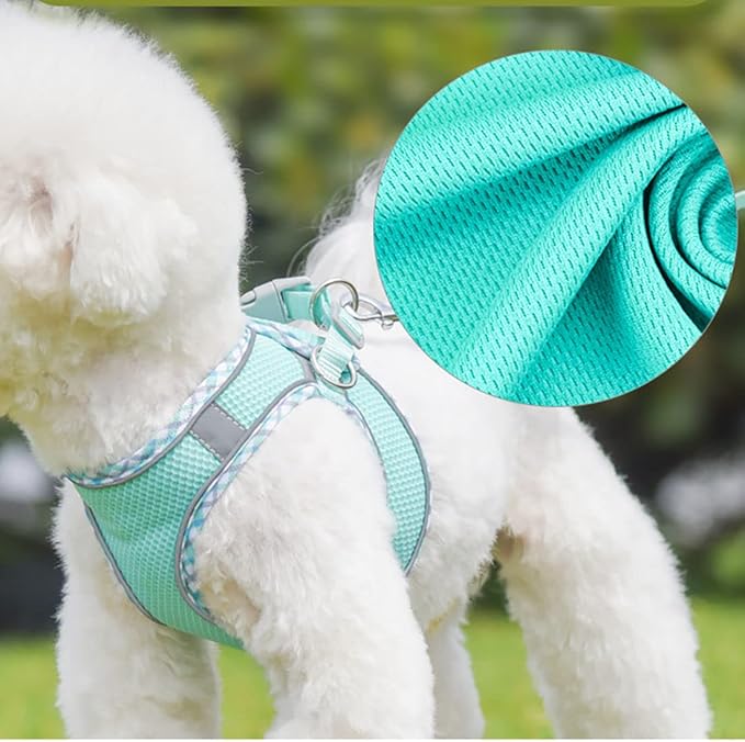 Harness Small Sized Dog, No-Pull Puppy Vest with Leash Set, Breathable Mesh Reflective Pet Harnesses for Outdoor Walking for XXS Xs Small Medium Breed Dogs Cats, Pink-Plaid XXSmall