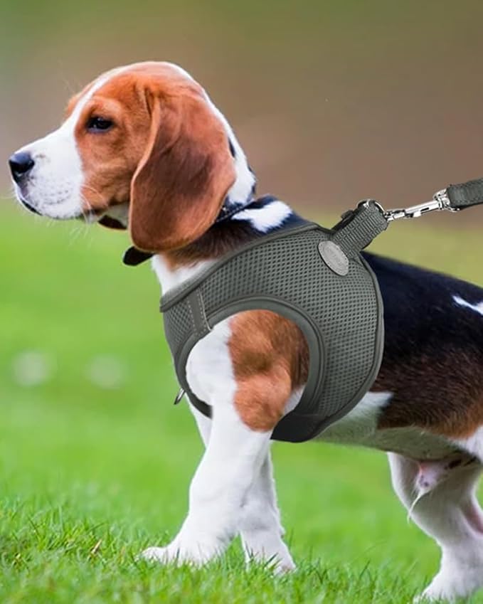 Joytale Small Dog Harness, Breathable Mesh Step-in Vest, Reflective Soft Padded Harnesses for Medium Dogs, Gray, XL