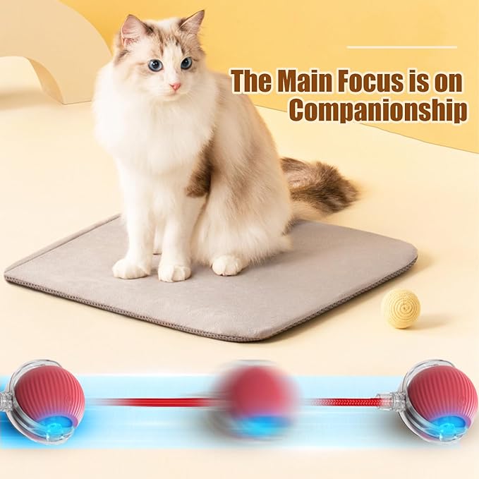 2PC Interactive Cat Toys,360 ° Fully Automatic Dogs & Cats Smart Rolling Ball,Durable and Rechargeable(Green+Red)