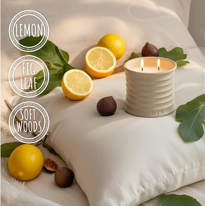 Scented Luxury Citronella Candles outdoor, Mosquito Bug Repellent | Handmade Ceramic Jars, Soy Wax | Cloudy Pillow - Fig Leaf & Lemon, Large Natural Candle | Non Toxic, 2 Wicks, Reusable Big Beige Jar
