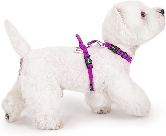 Non Restrictive Dog Harness, Easy Walk Freedom No Pull Harness, Keep Balance, Lightweight, Neck Buckle, 2 Clips for Back/Front Clip, Sewn-in Instructions Labels for Easy Use (Purple, Small)