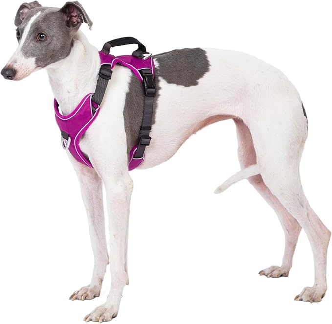 No Pull Dog Harness with Back Control Handle for Large Dogs, Reflective Vest, Adjustable and Padded, Easy Walk Front/Back Clips (Purple, X-Large)
