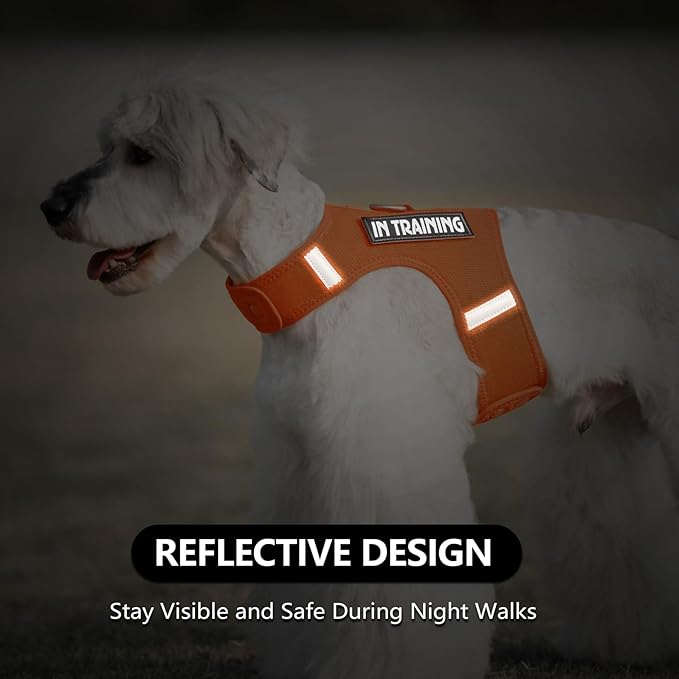 Dog Harness for Puppy – Adjustable Reflective Easy Put On Soft Mesh Vest for Small Dogs with 2 Patches (Orange,XXXS)