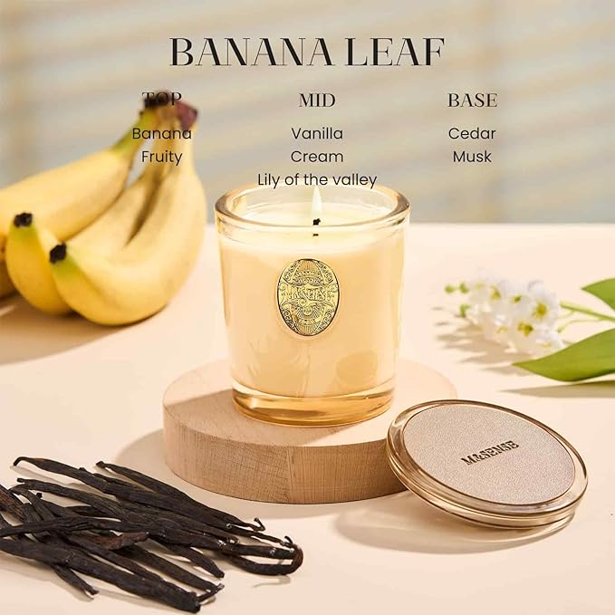 M&SENSE Natural Soy Candle | Banana Leaf & Gold | 9.2 oz, 50H Burn Time | Luxury Scented Candle for Relaxation, Gifting, Home Décor | Ideal for Bedroom, Office, Party Ambiance
