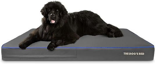 The Dog’s Bed Orthopedic Memory Foam Dog Bed, XXXL Grey/Blue 64x44, Pain Relief for Arthritis, Hip & Elbow Dysplasia, Post Surgery, Lameness, Supportive, Calming, Waterproof Washable Cover