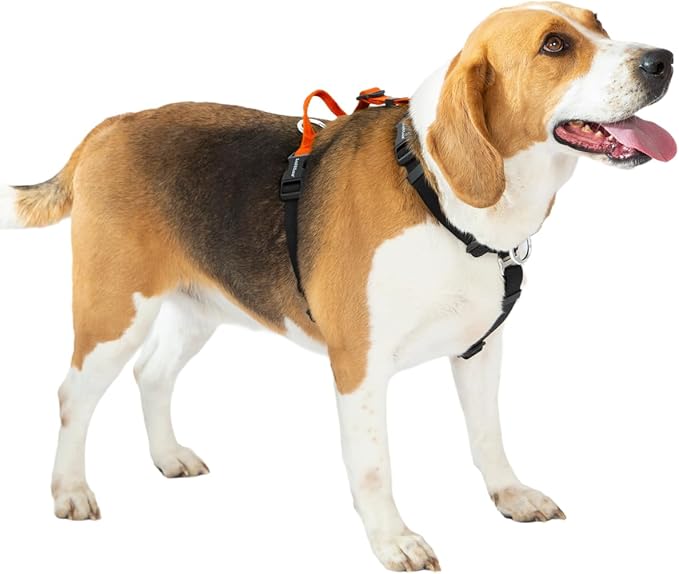 Non-Restrictive Dog Harness, Easy Walk Freedom No Pull Harness, Keep Balance, Neck-Buckle, Six Points Adjustment, 2 Leash Clips for Back and Front Clip (Orange/Black, X-Large)