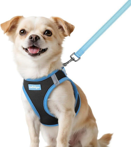 rabbitgoo Dog Harness Small Sized and Leash Set, Step-in Breathable Pet Harness, Soft Walking Reflective Puppy Vest for Small Dogs, Black & Light Blue, XXS