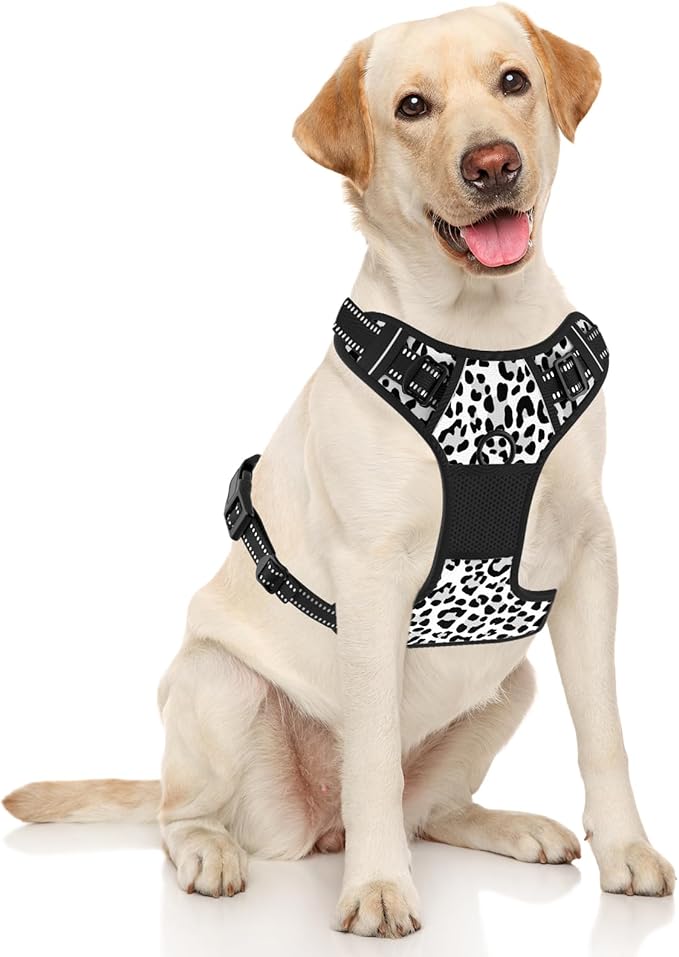 Rnivvi No Pull Dog Harness, Cute Leopard Reflective Medium Sized Puppy Kitten Harness, Adjustable Soft Padded Vest for Medium Dogs, Heavy Duty Pet Vest with Easy Control Handle for Walking, White