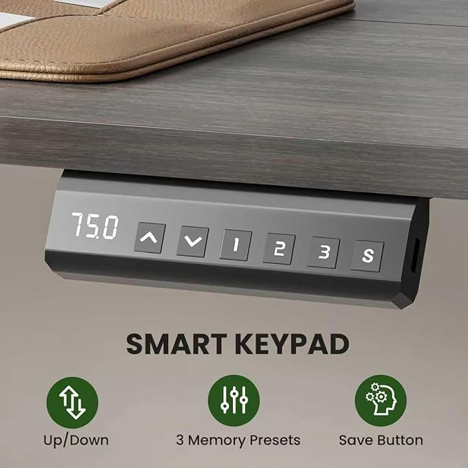 Casaphoria 40 x 24 inches Inch Electric Standing Desk, Sit to Stand Desk with Memory Height Adjustment, Home Office Computer Desk for Writing and Games, Grey