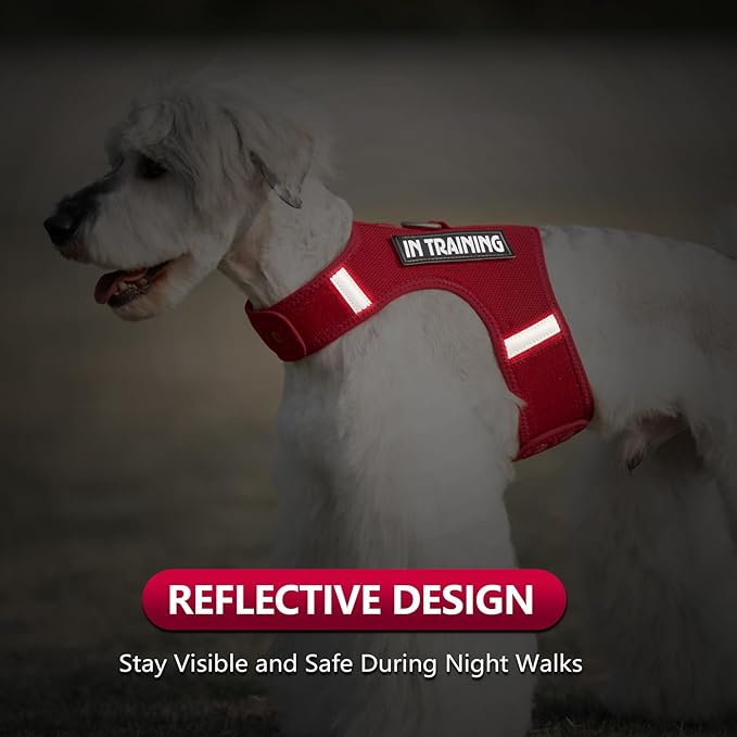 Dog Harness for Puppy – Adjustable Reflective Easy Put On Soft Mesh Vest for Small Dogs with 2 Patches (Burgundy Red,M)