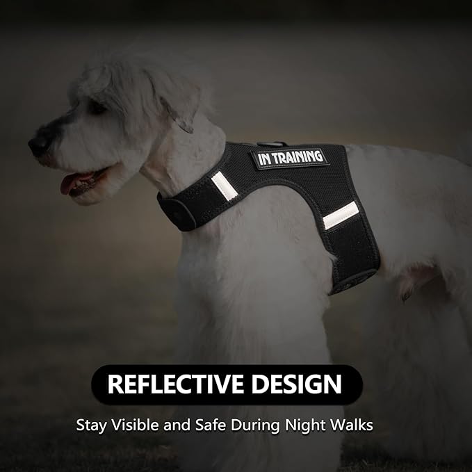 Dog Harness for Puppy – Adjustable Reflective Easy Put On Soft Mesh Vest for Small Dogs with 2 Patches (Black,XXS)