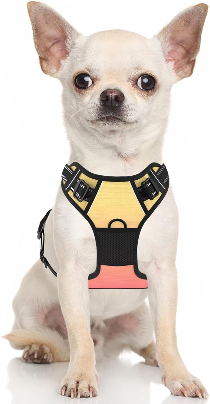 Rnivvi No Pull Dog Harness, Cute Reflective X-Small Sized Puppy Harness, Adjustable Soft Padded Vest for Small Dogs, Cats, Heavy Duty Pet Vest with Easy Control Handle for Walking, Abstract Gradient