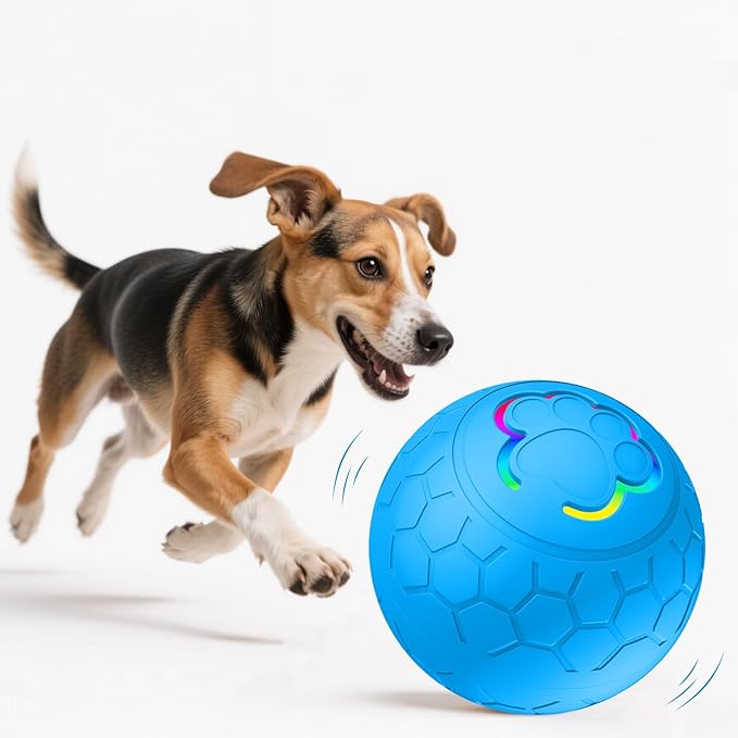 Interactive Dog Ball - 2.2" Durable Motion Activated Pet Bounce Ball for Puppy/Small/Medium Dogs, USB Rechargeable