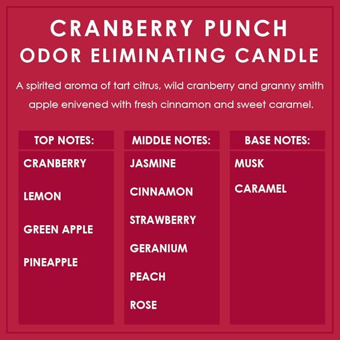 Cranberry Punch Odor Eliminating Highly Fragranced Candle - Eliminates 95% of Pet, Smoke, Food, and Other Smells Quickly - Up to 80 Hour Burn time - 12 Ounce Premium Soy Blend