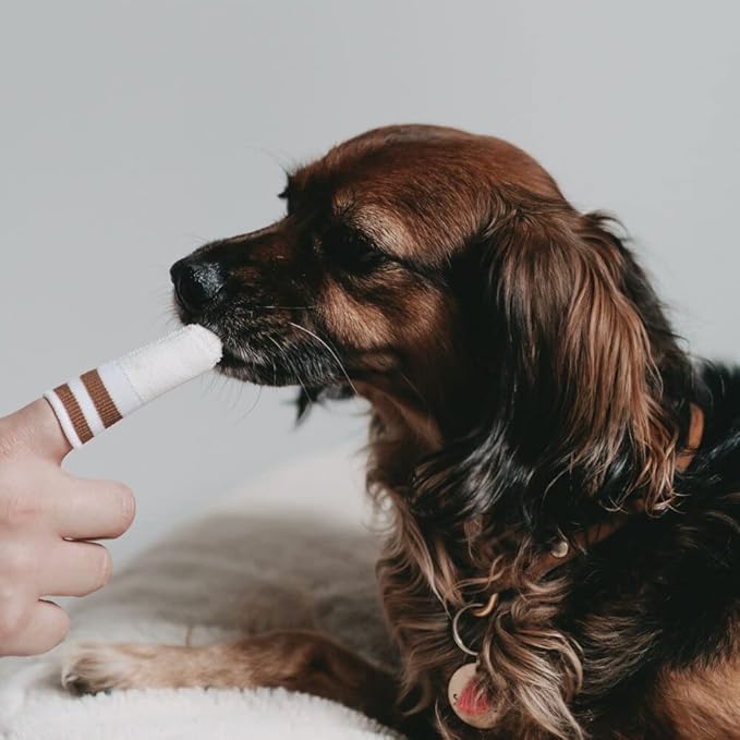 LILA LOVES IT Toothbrush for Dogs - Practical Dental Micro Fleece Made of Micro-Fleece, Dental Care for Dogs, Gentle on Gums, Dental Micro Fleece