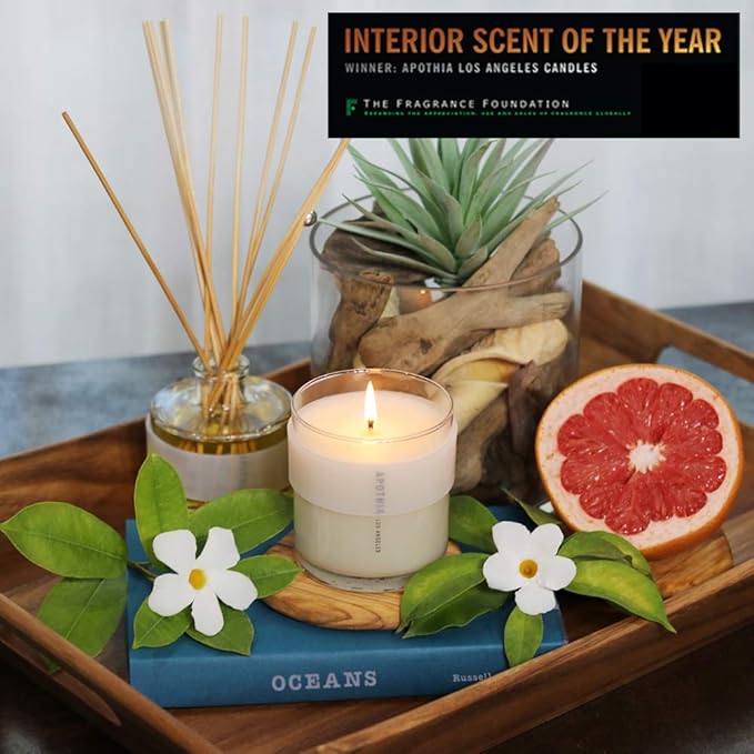 APOTHIA - Wave Candle | White Grapefruit & Salty Ozone | Award Winning Scented Candles with Premium Soy Wax Blend I 60 Hour Long Burning I 9 oz I Small Batches for Luxury Quality in Decorative Jar