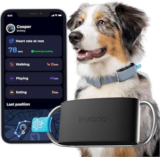 Minitailz - Health & GPS Tracker for Dogs #1 - Cardiac and Respiratory Scan - Real-time Location - Activity and Well-Being Analysis - Compact, Lightweight, and Easy to Install