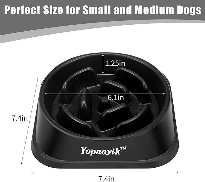 Slow Feeder Dog Bowls for Healthy Eating, Non-Slip and Anti-Choking Design, Reduces Bloating & Overeating for Medium Dogs and Cats, Easy to Clean
