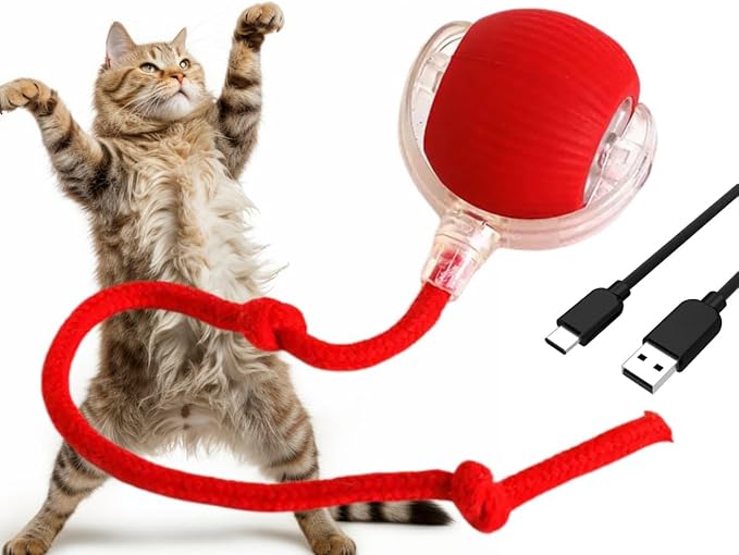 Cat/Dog Interactive Ball - Rechargeable, Motion Chase Toy, Self-Moving Kitten Toy for Indoor Playing, Fast on Carpet
