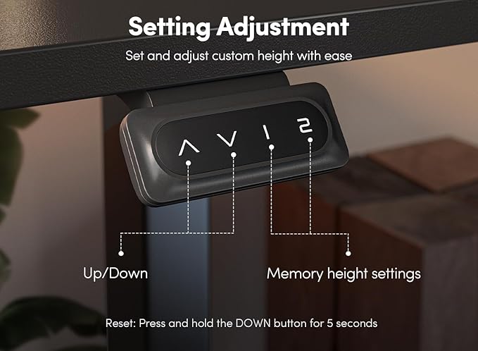 FEZIBO 55 x 24 Inch Height Adjustable Electric Standing Desk with Double Drawer, Stand Up Desk with Storage Shelf, Sit Stand Desk, Black