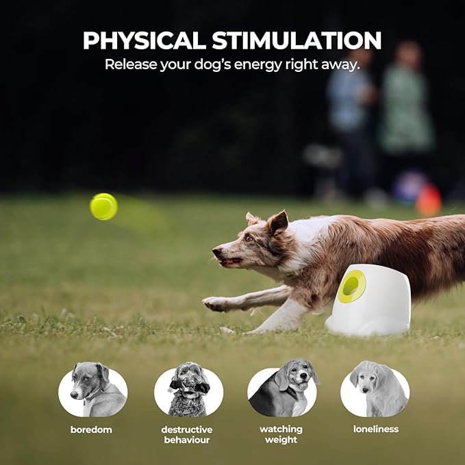 AFP Automatic Ball Launcher for Dogs Interactive Puppy Pet Ball Outdoor Thrower Fetch Machine, 6 Balls Included (2.5 inch) for Medium to Large Dogs, Rechargeable Battery