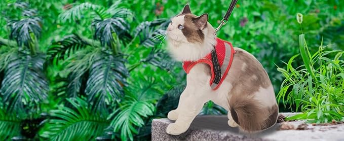 Cat Harness and Leash for Walking, Escape Proof Soft and Breathable Adjustable Vest Harness for Cats, Lightweight Easy to Control Medium Dog Kitten Harness, Comfortable Outdoor Jacket