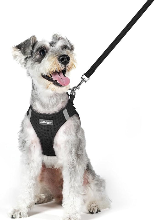 rabbitgoo Dog Harness Small Sized and Leash Set, Step in Soft Light Puppy Vest, Breathable Mesh Pet Harness, Reflective for Outdoor Safe Walking, Black XL