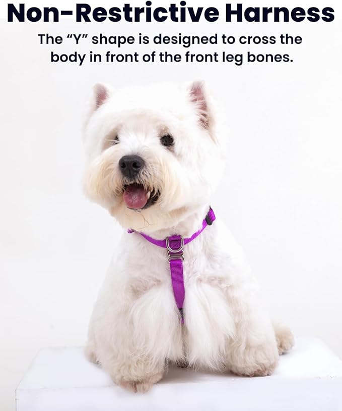 Non Restrictive Dog Harness, Easy Walk Freedom No Pull Harness, Keep Balance, Lightweight, Neck Buckle, 2 Clips for Back/Front Clip, Sewn-in Instructions Labels for Easy Use (Purple, Small)
