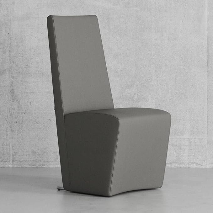 Zuri Furniture Boston High Back Modern Dining Chair - Dark Grey