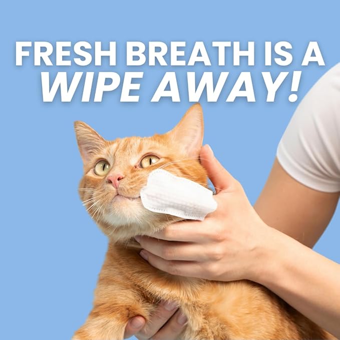 Dr. Paws: Pet Dental Finger Wipes - Natural Ingredients, Easy to Use Dog Teeth Cleaning Wipes for Effective Dog Teeth Cleaning - Ideal Dog Dental Wipes for Optimal Oral Hygiene