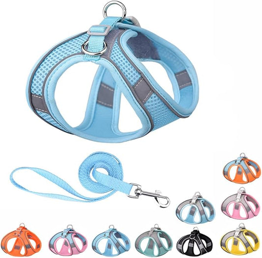 Blue Puppy Harness and Leash Set, No-Pull Dog Harness and th Leash for Easy Walk, Breathable Mesh Reflective Cat Vest for XXS Xs Small Medium Breed Pet Dogs, XS