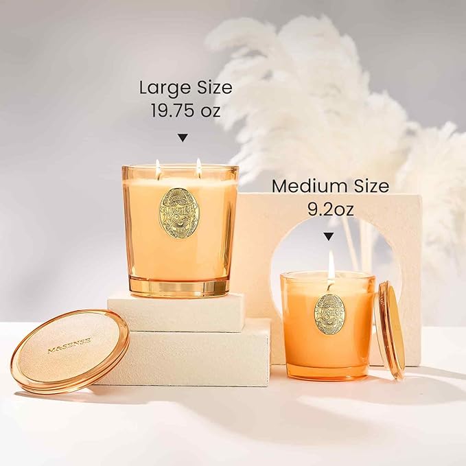 M&SENSE Natural Soy Candle | Basil Ginger & Orange | 9.2 oz, 50H Burn Time | Luxury Scented Candle for Relaxation, Gifting, Home Décor | Ideal for Bedroom, Office, Party Ambiance