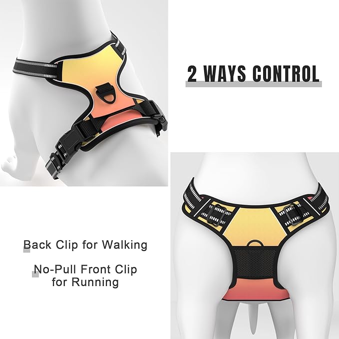 Rnivvi No Pull Dog Harness, Cute Reflective X-Small Sized Puppy Harness, Adjustable Soft Padded Vest for Small Dogs, Cats, Heavy Duty Pet Vest with Easy Control Handle for Walking, Abstract Gradient