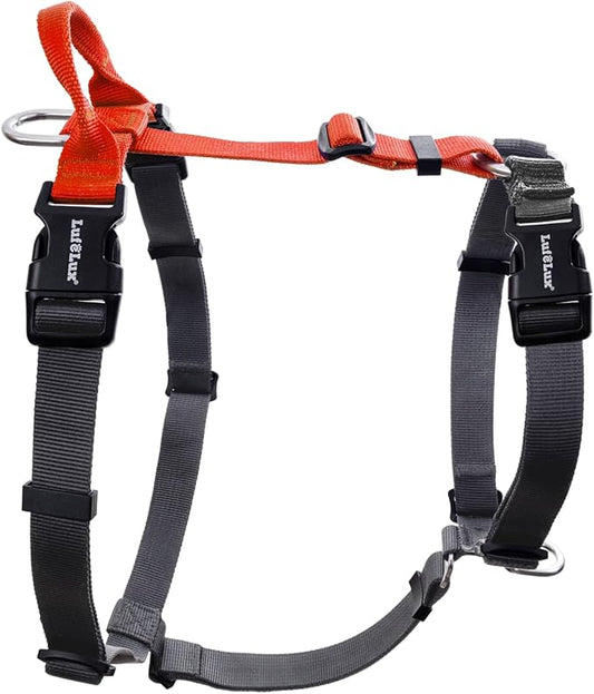 Non-Restrictive Dog Harness, Easy Walk Freedom No Pull Harness, Keep Balance, Neck-Buckle, Six Points Adjustment, 2 Leash Clips for Back and Front Clip (Orange/Black, X-Small)
