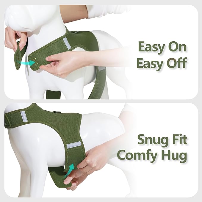 Dog Harness for Puppy – Adjustable Reflective Easy Put On Soft Mesh Vest for Small Dogs with 2 Patches (Misty Green,XXS)