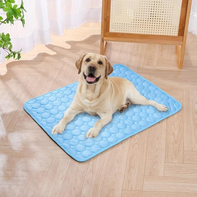Dog Cooling Mat for Indoor & Outdoor - Reversible Pet Coolings Pad with Ice Silk, 3 Sizes (XS-L) - Cooling Blanket for Dogs & Cats (Blue, X-Small)