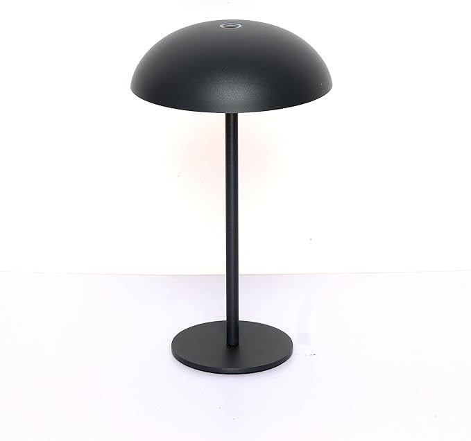 Multi-Scene LED Table lamp with Touch dimming and USB-C Charging. Delivers 6-8 Hours at max Brightness. Easy to Install and Carry. Suitable for The Outdoors, Dining Room, Bedroom, etc.