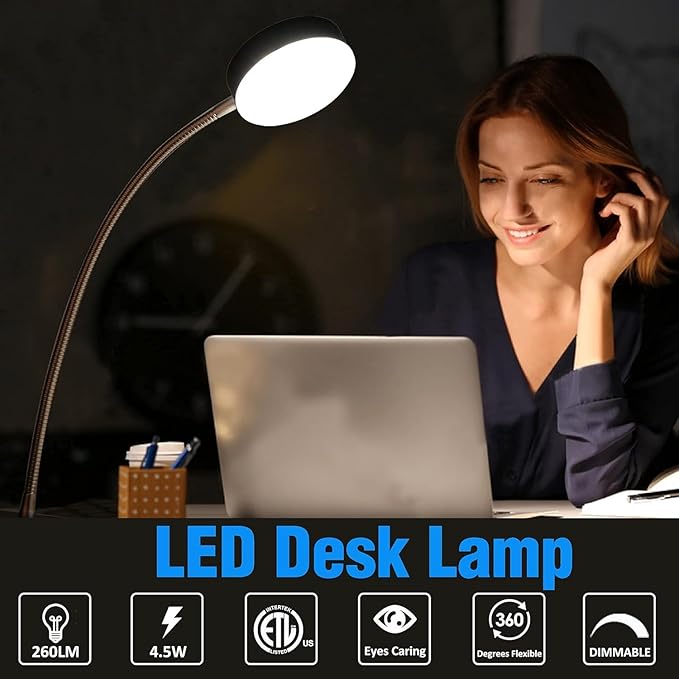 Clip-On LED Desk Lamp with Switch, 19.25” Flexible Gooseneck, 4.5W 260LM 4000K Cool White Clamp Desktop Light, 65” Cord Small Desk Light for Home, Office, Study, ETL Listed