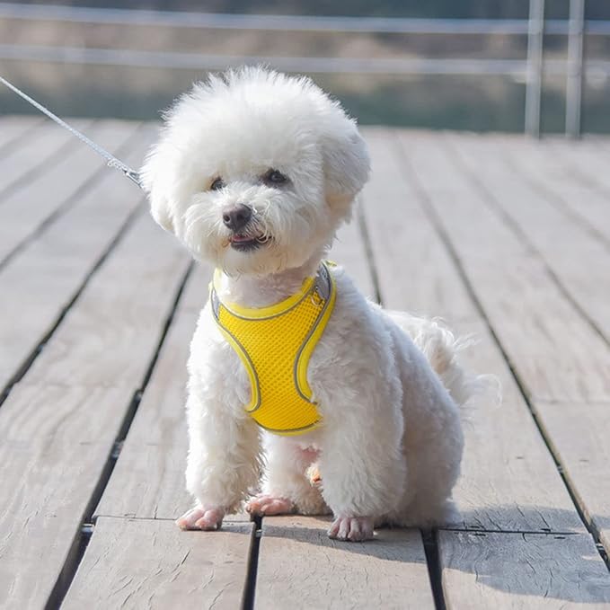 Yellow Harness for Dogs, No-Pull Puppy Harness and th Leash for Easy Walk, Breathable Mesh Reflective Cat Vest for XXS Xs Small Medium Breed Pet Dogs, XS